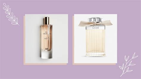 zara perfume chloe dupe|zara rose gourmand.